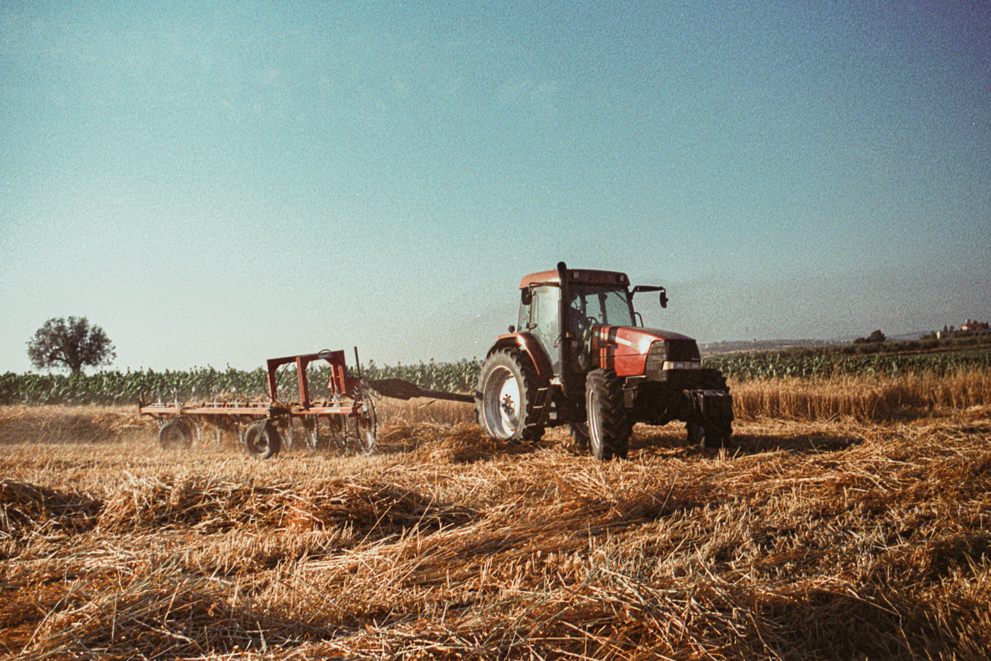 qamih - harvest 3