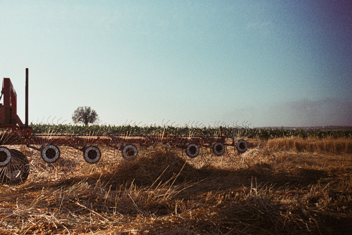 qamih - harvest 4