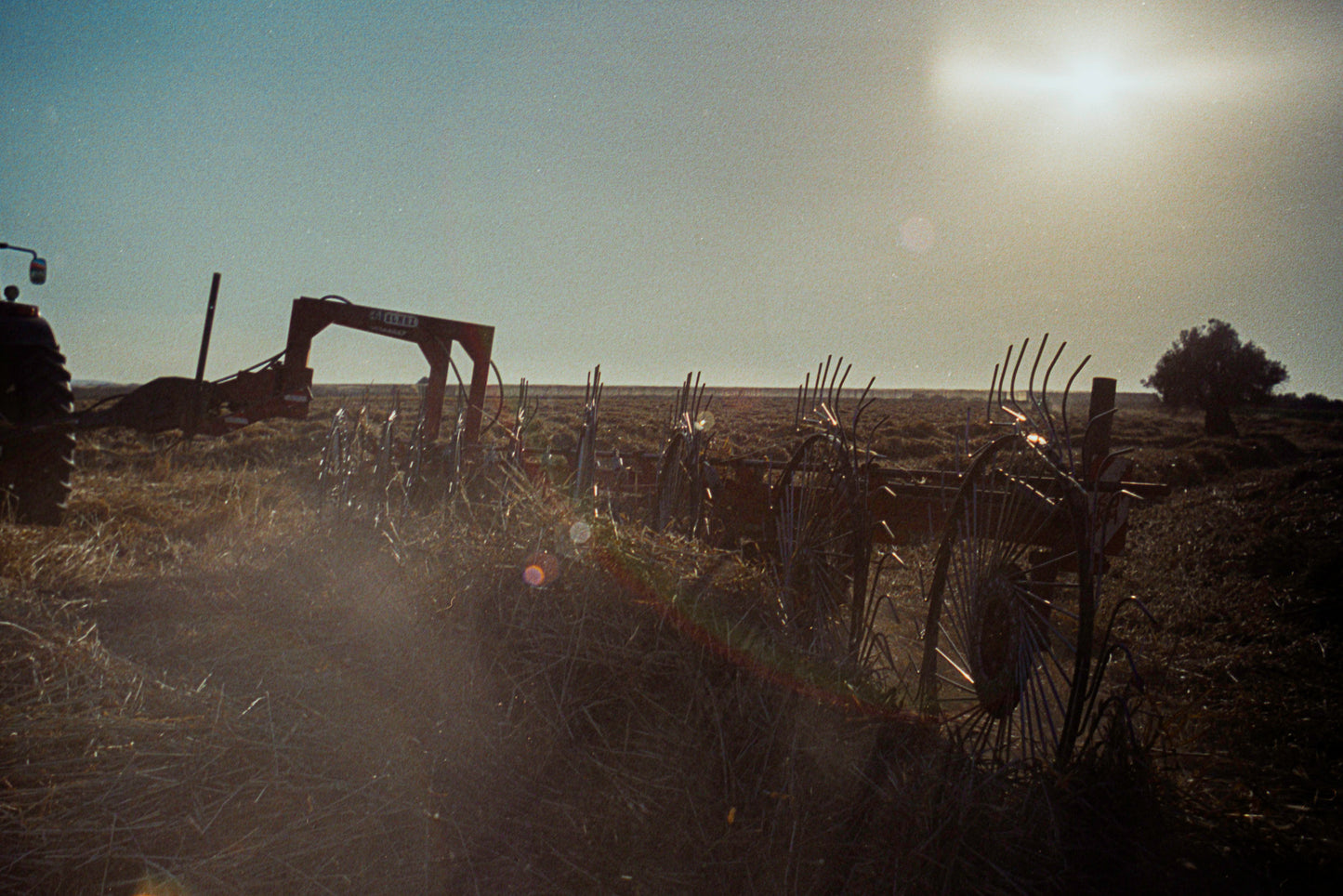 qamih - harvest 2
