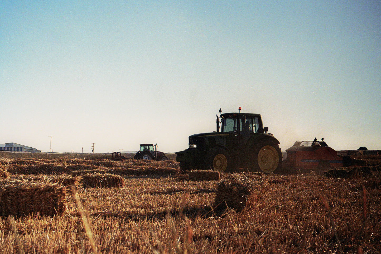qamih - harvest 6