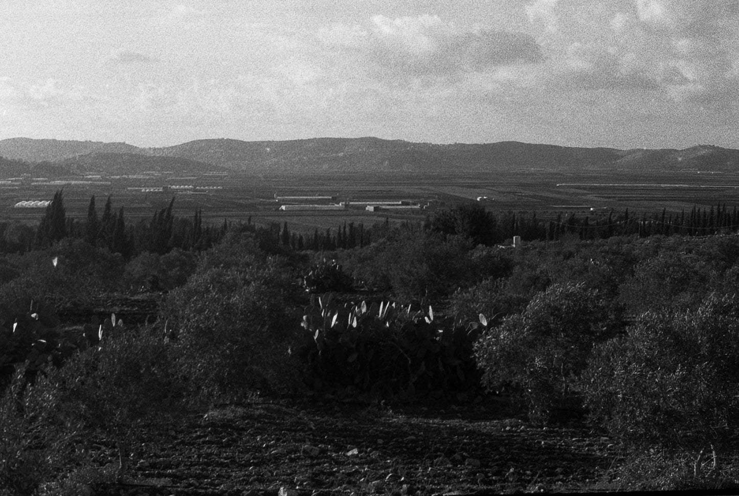 qatayin