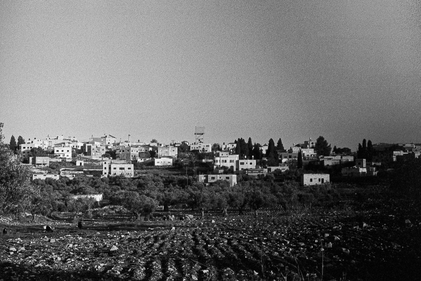 sir, jenin