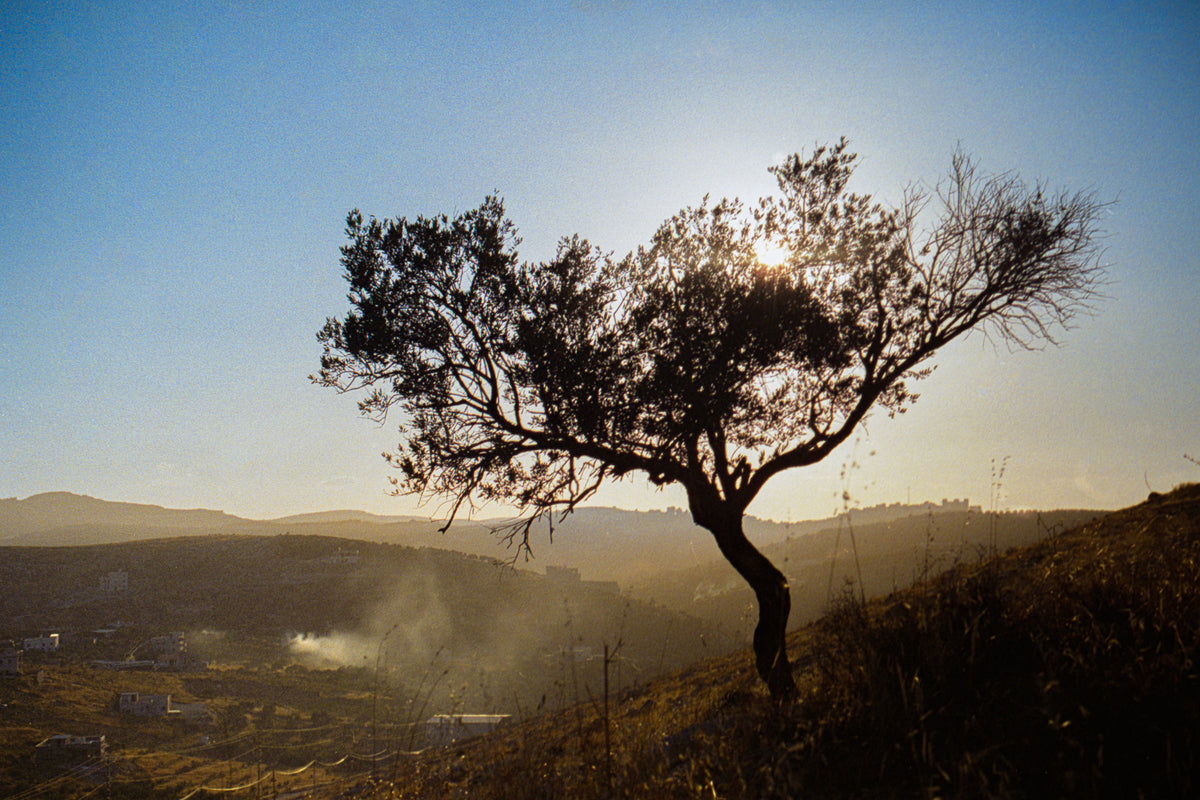 jarba - mirka road - طريق جربا مركة