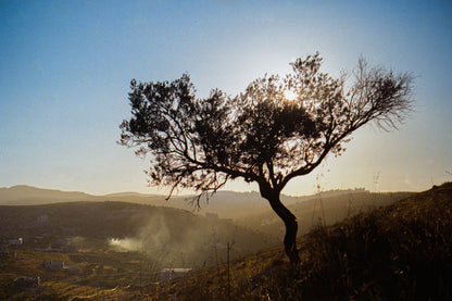 jarba - mirka road - طريق جربا مركة