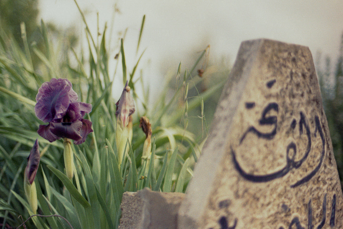 sawsan grave - ضريح السوسنة
