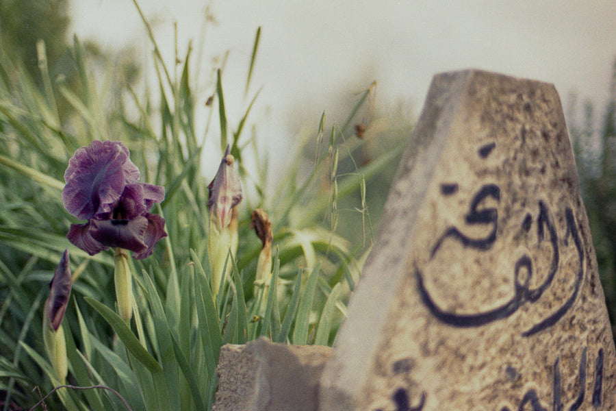 sawsan grave - ضريح السوسنة