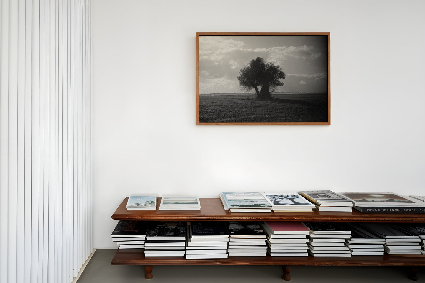 the olive tree - شجرة الزيتون