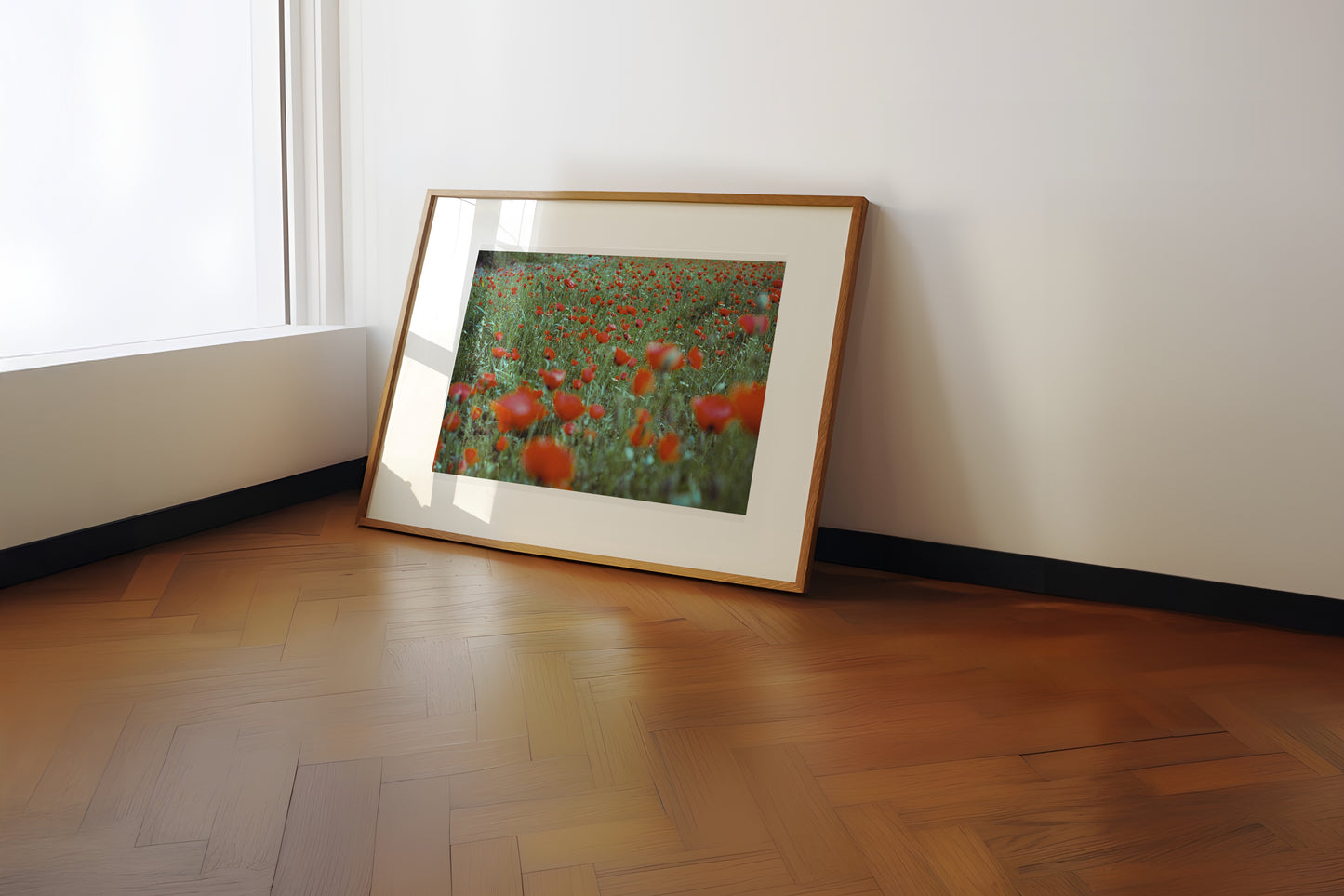 the poppy field - حقل الدحنون