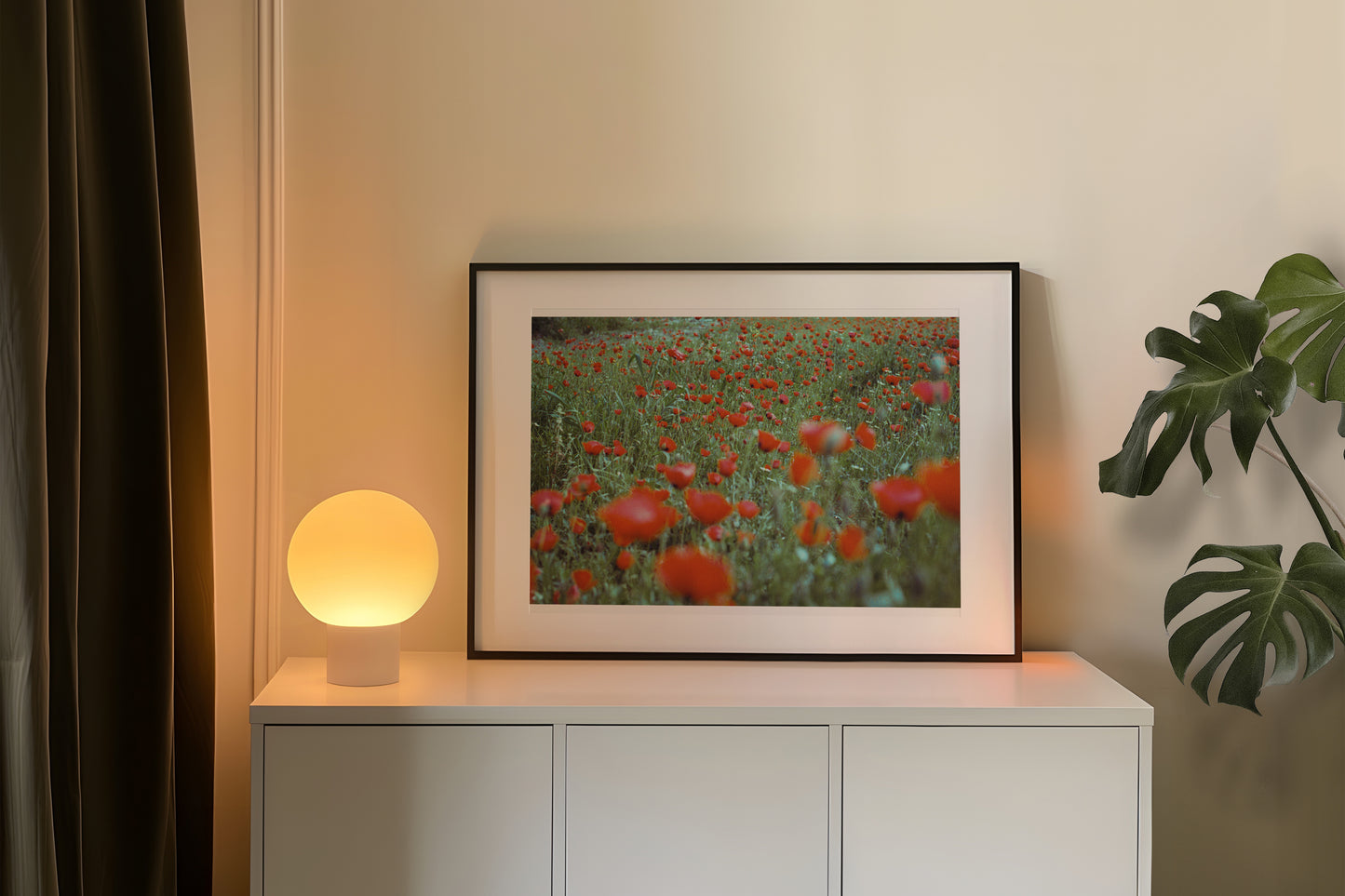 the poppy field - حقل الدحنون