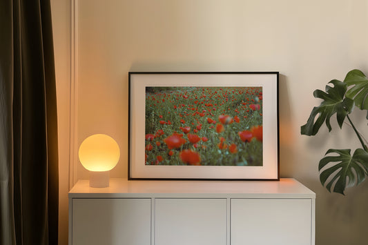 the poppy field - حقل الدحنون